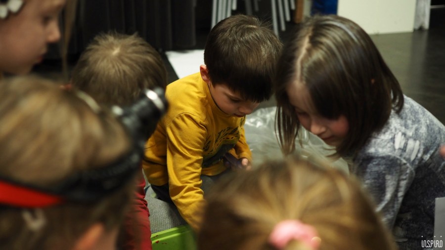 Dom Kultuty INSPIRO15