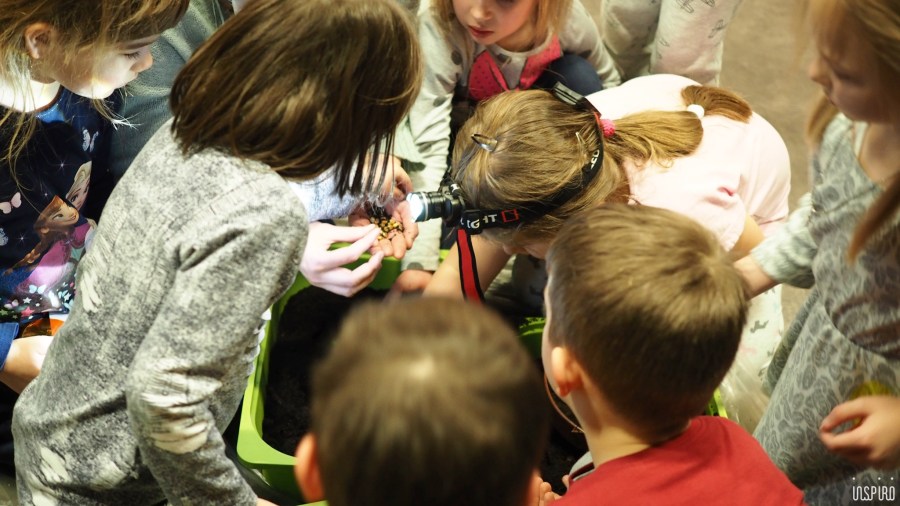 Dom Kultuty INSPIRO16