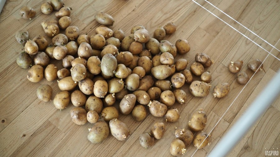 Dom Kultuty INSPIRO2