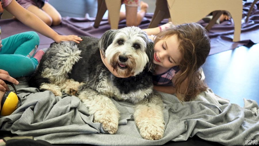 Dom Kultuty INSPIRO10