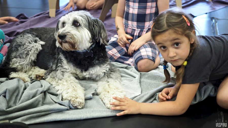 Dom Kultuty INSPIRO8