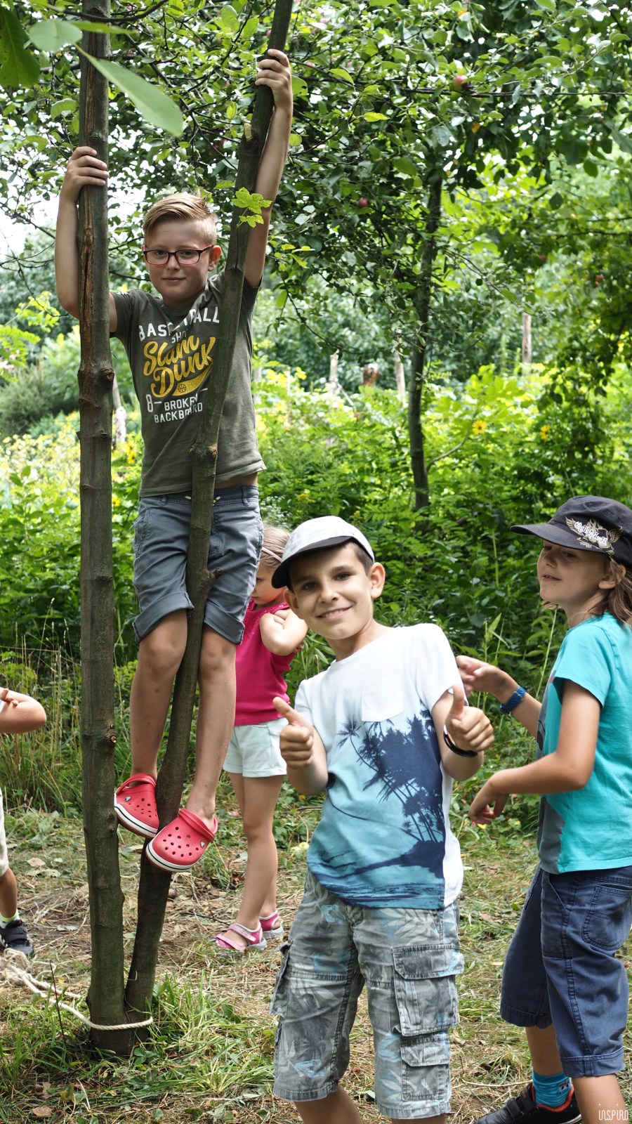 Dom Kultuty INSPIRO11