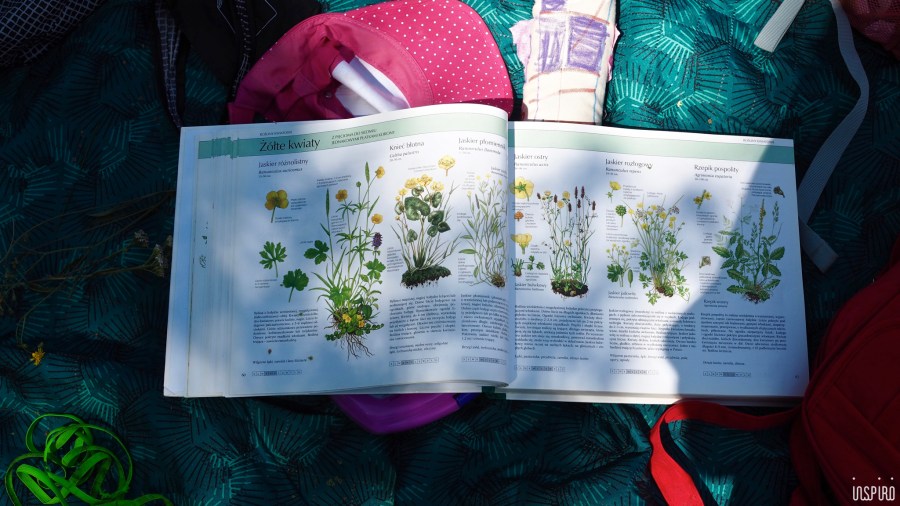 Dom Kultuty INSPIRO12