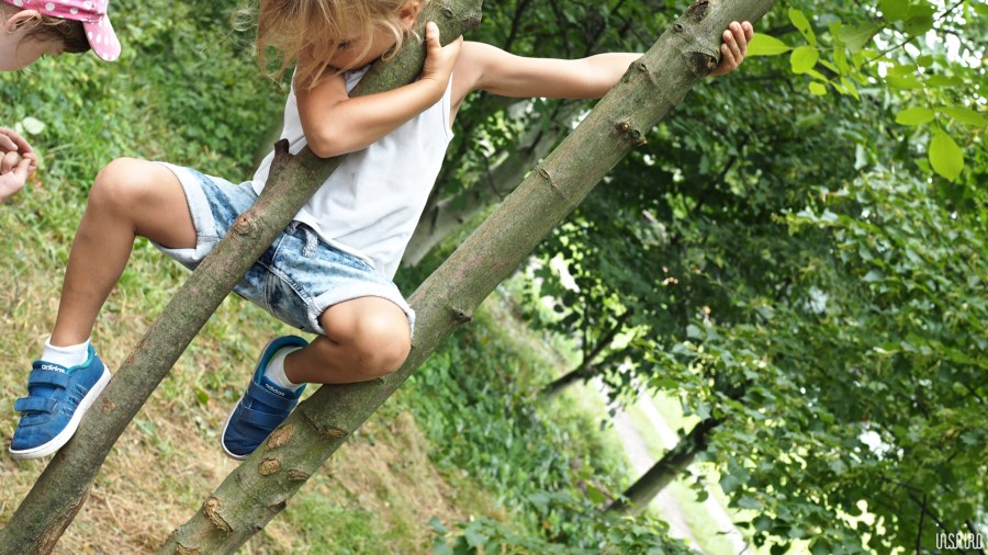 Dom Kultuty INSPIRO12