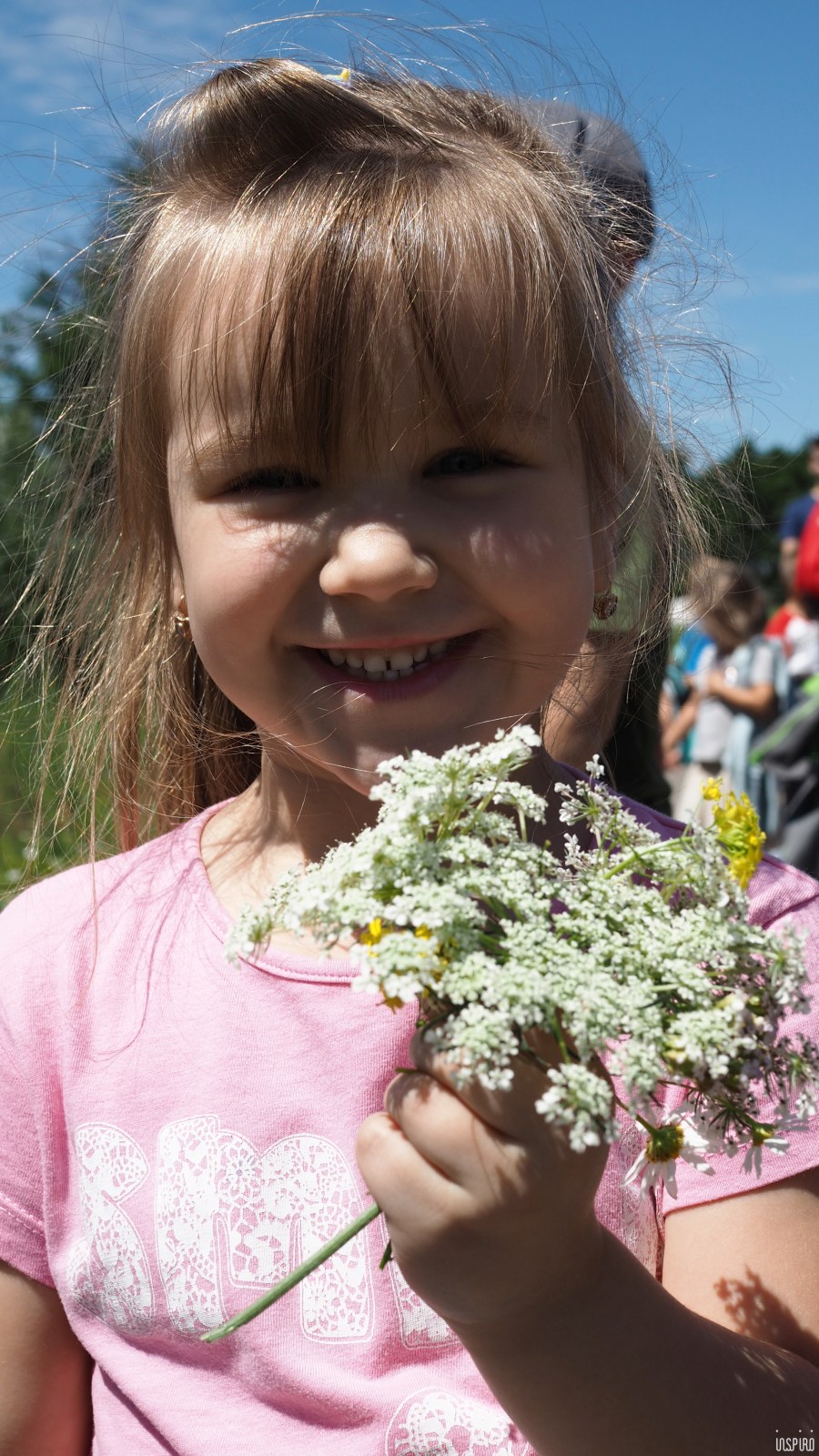 Dom Kultuty INSPIRO14