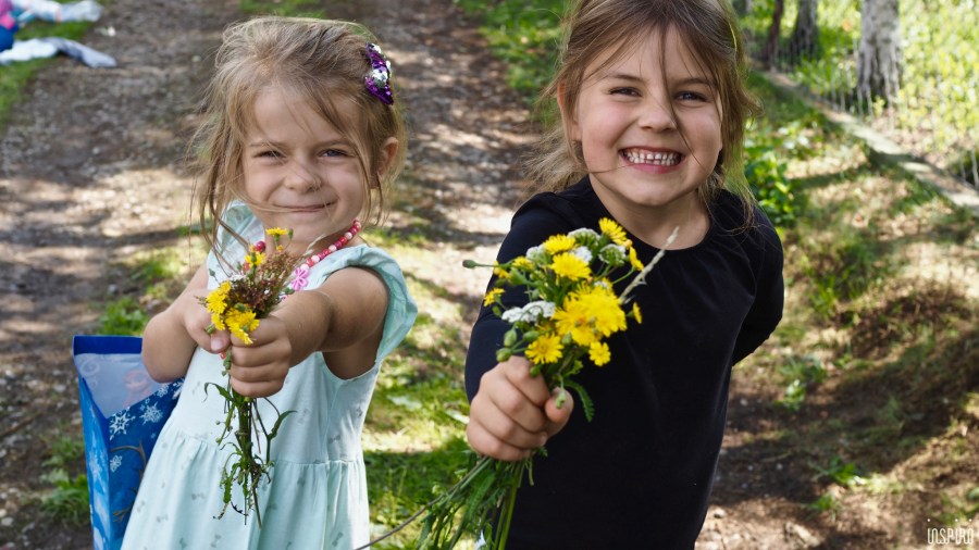 Dom Kultuty INSPIRO14