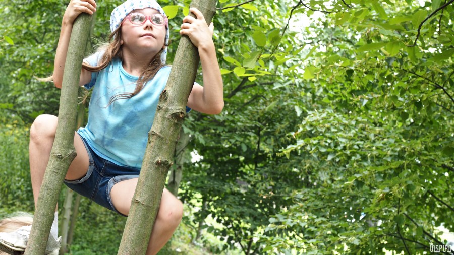 Dom Kultuty INSPIRO15