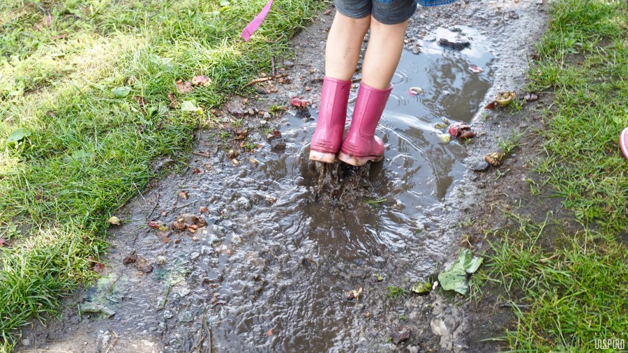 Dom Kultuty INSPIRO16