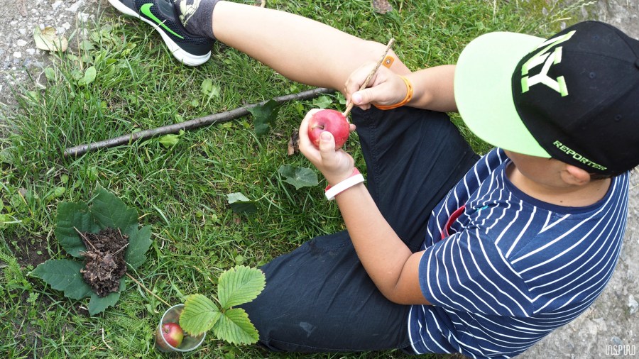 Dom Kultuty INSPIRO16