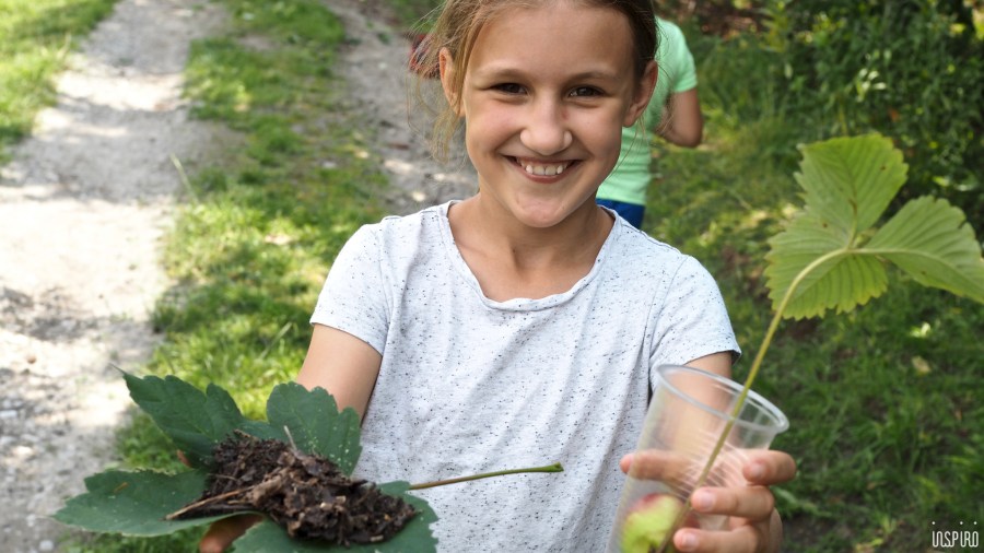 Dom Kultuty INSPIRO17