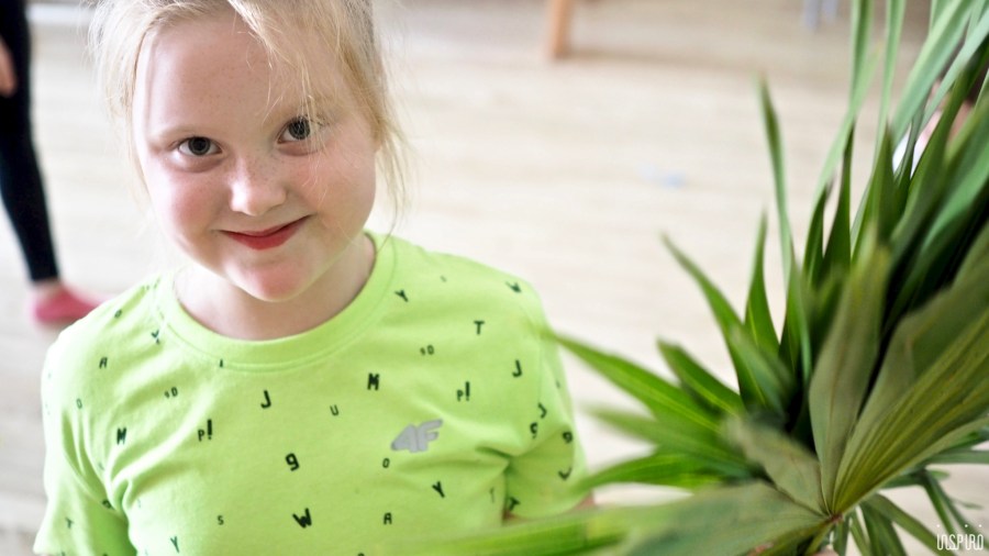 Dom Kultuty INSPIRO2