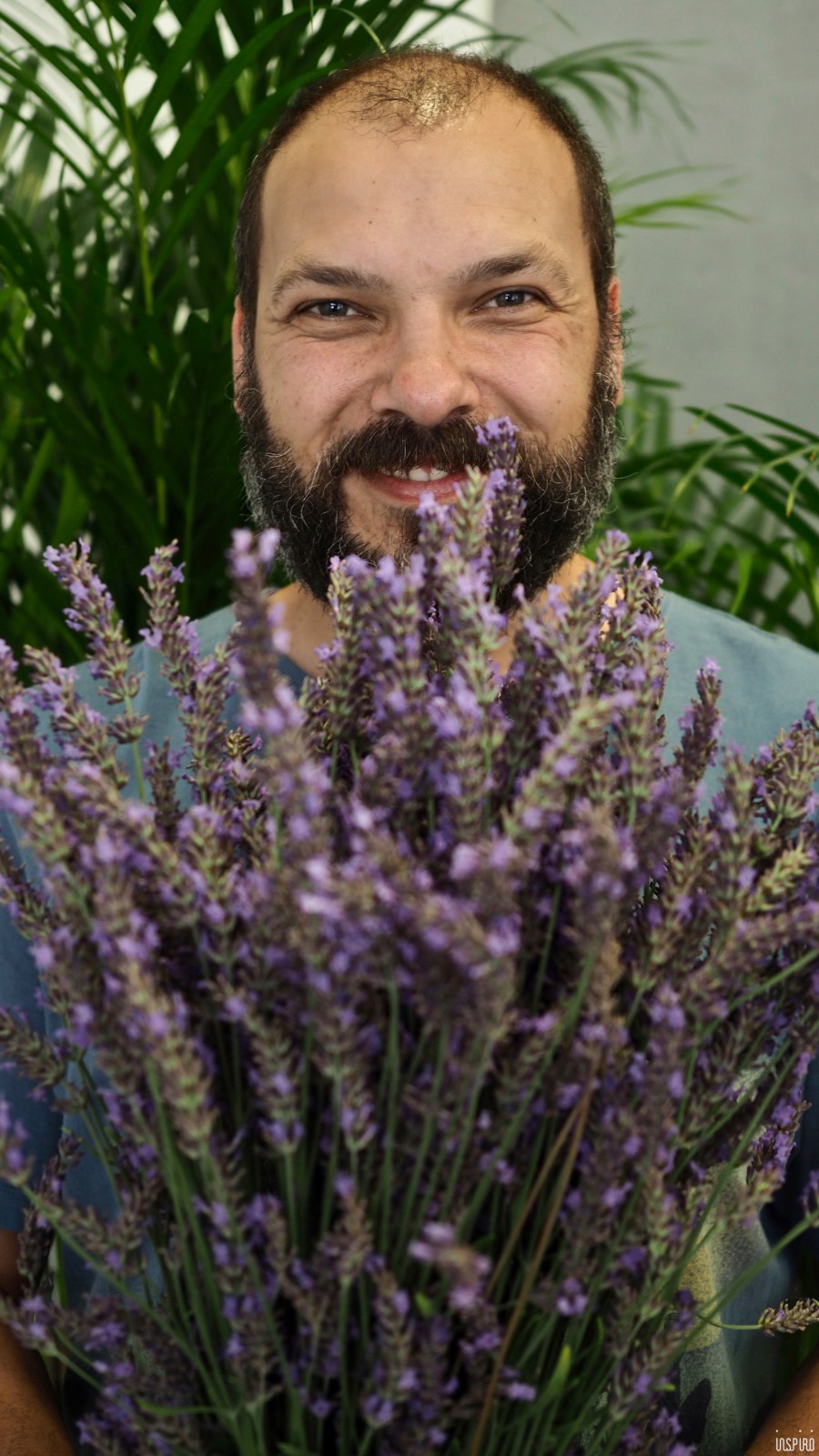 Dom Kultuty INSPIRO22