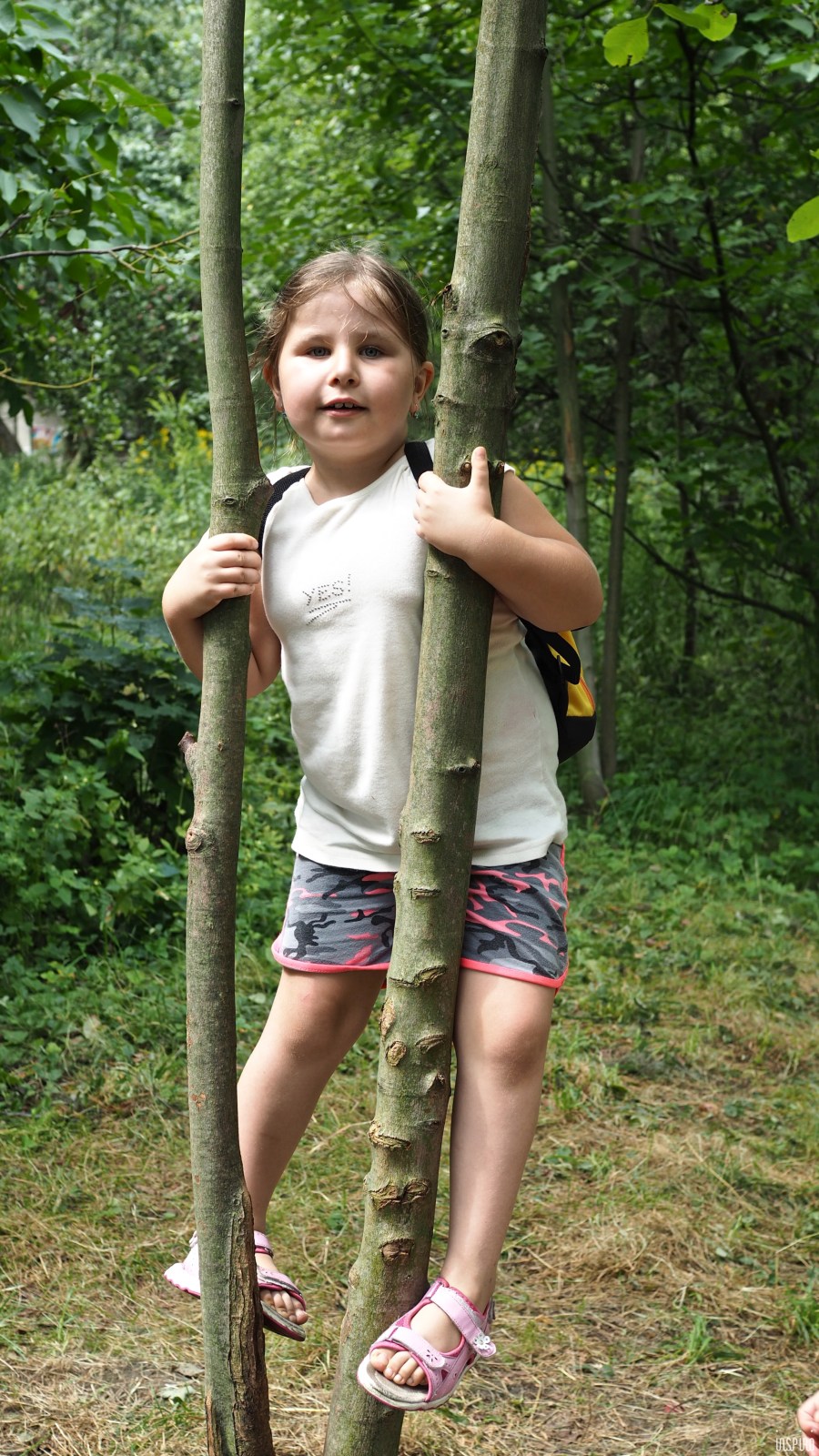 Dom Kultuty INSPIRO23