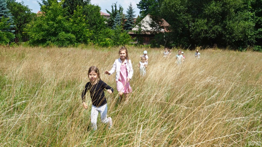 Dom Kultuty INSPIRO24