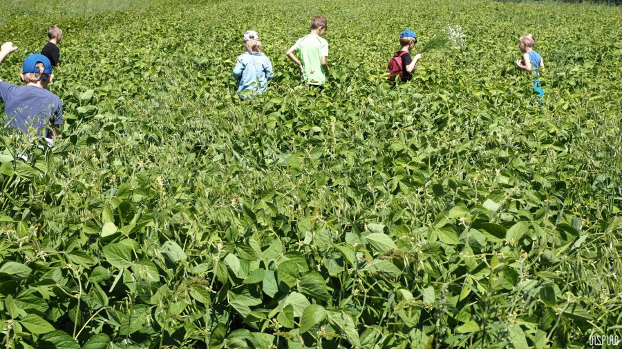 Dom Kultuty INSPIRO30