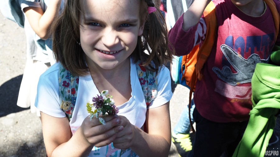 Dom Kultuty INSPIRO31