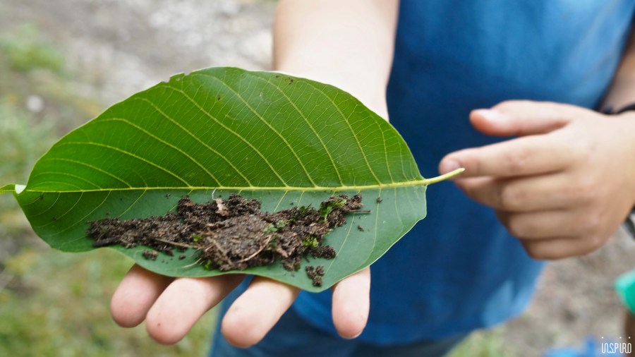 Dom Kultuty INSPIRO32