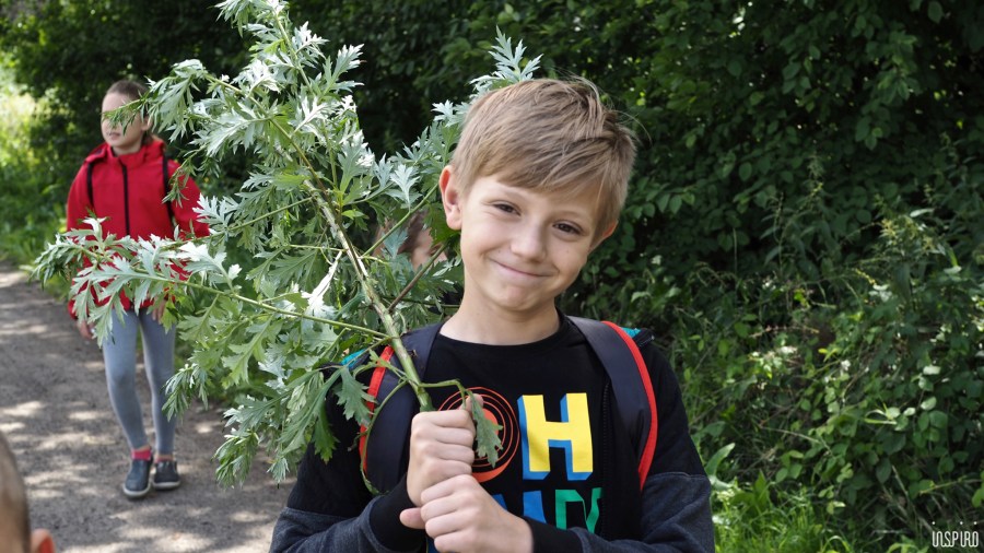 Dom Kultuty INSPIRO33