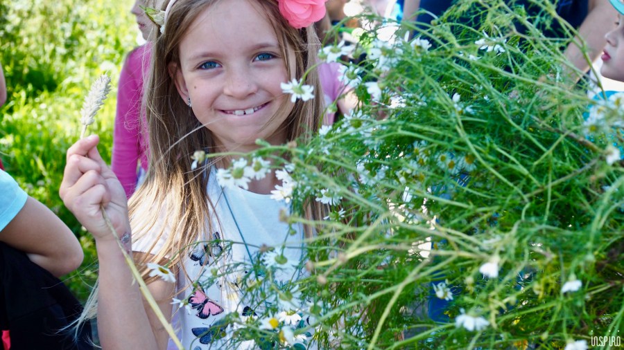 Dom Kultuty INSPIRO33