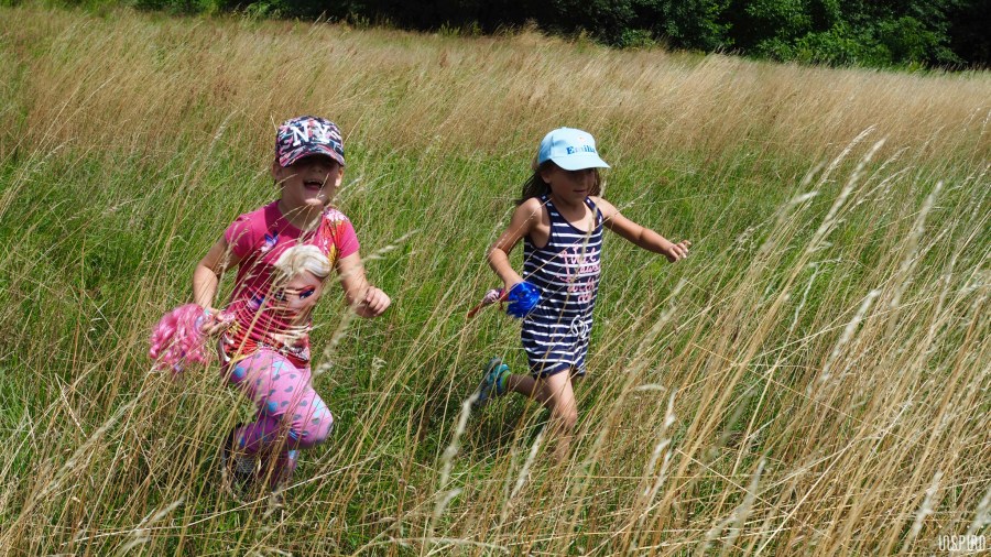 Dom Kultuty INSPIRO33