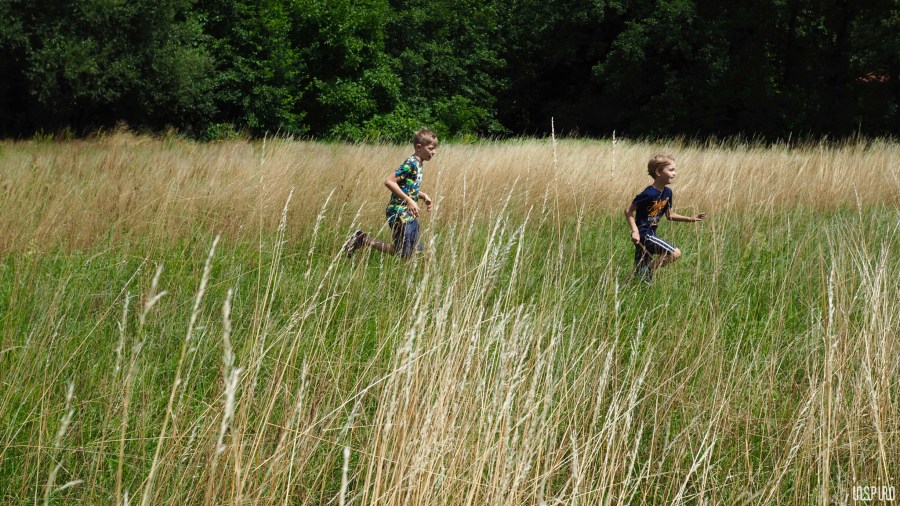 Dom Kultuty INSPIRO36