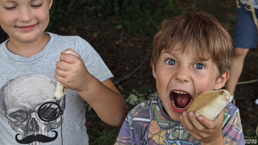 Dom Kultuty INSPIRO40