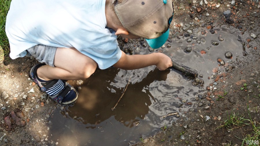 Dom Kultuty INSPIRO41