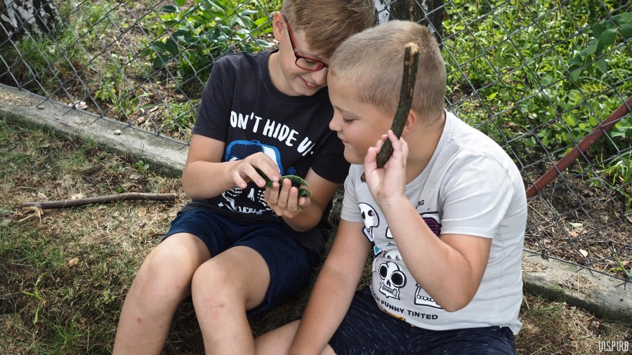 Dom Kultuty INSPIRO42