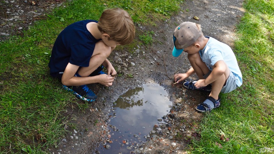 Dom Kultuty INSPIRO43