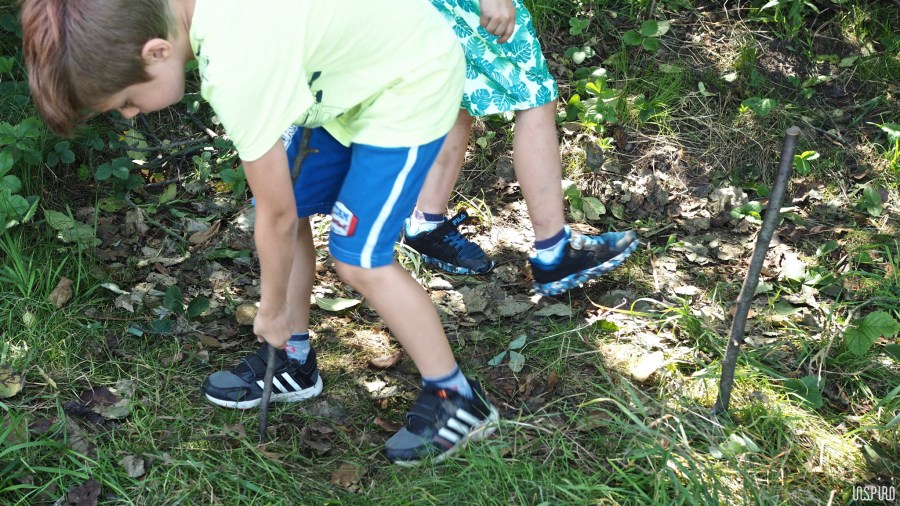 Dom Kultuty INSPIRO44