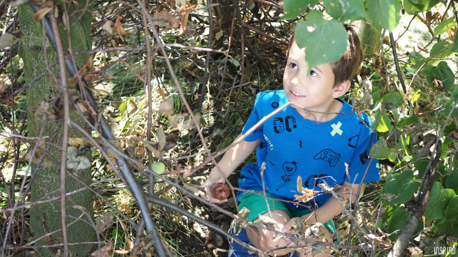 Dom Kultuty INSPIRO45