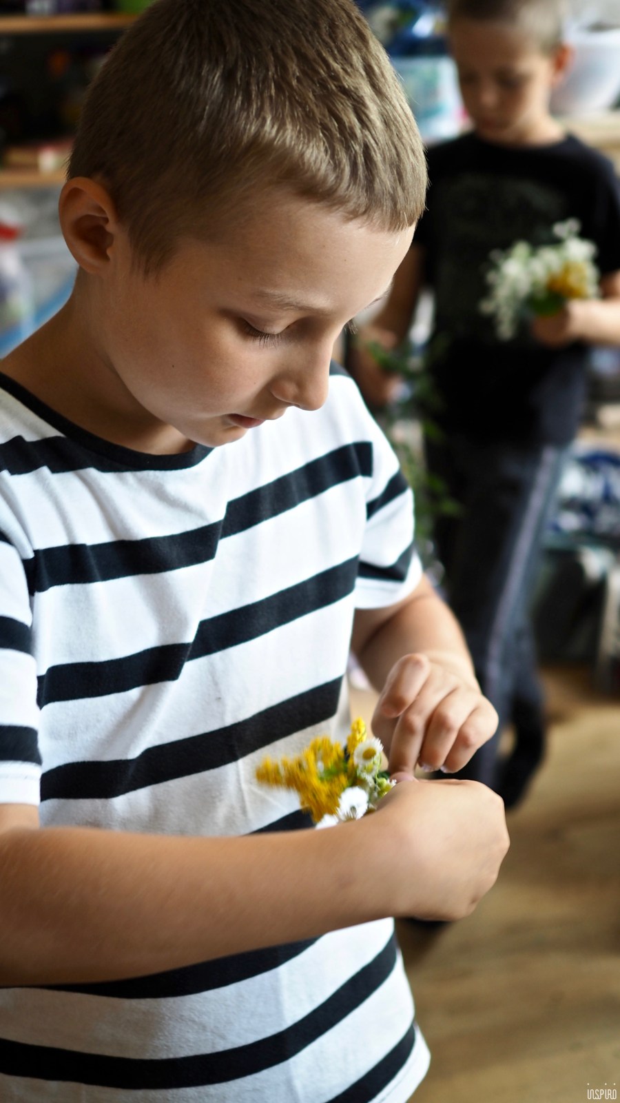 Dom Kultuty INSPIRO52