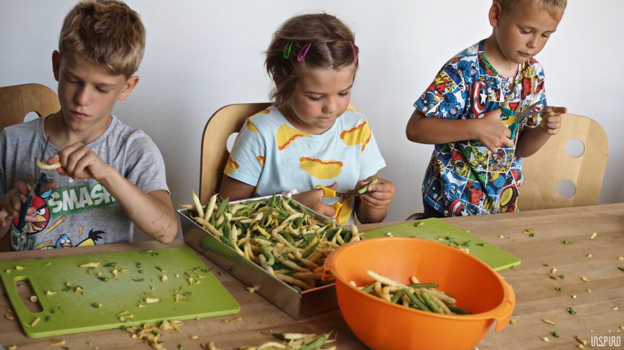 Dom Kultuty INSPIRO61