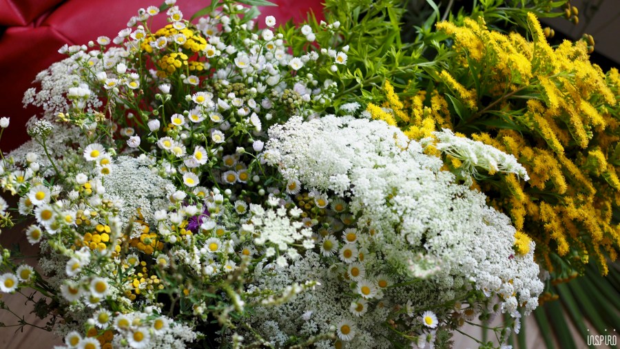 Dom Kultuty INSPIRO73