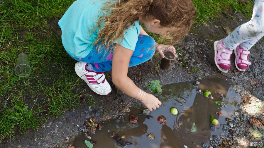 Dom Kultuty INSPIRO8