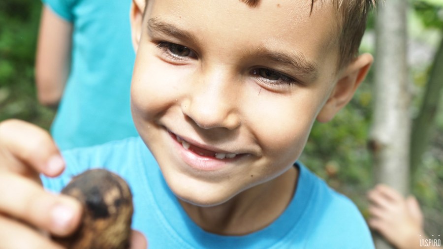 Dom Kultuty INSPIRO8