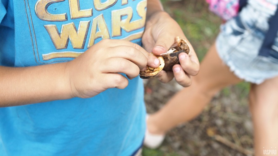 Dom Kultuty INSPIRO9