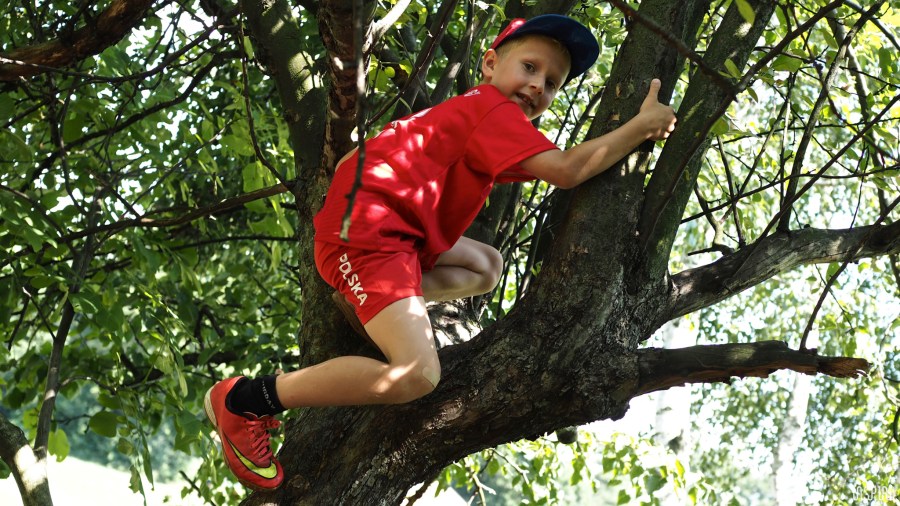 Dom Kultuty INSPIRO34