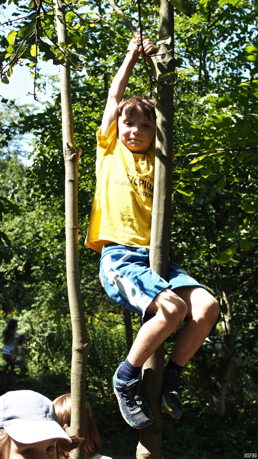 Dom Kultuty INSPIRO35