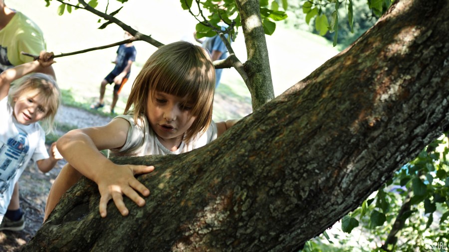 Dom Kultuty INSPIRO37