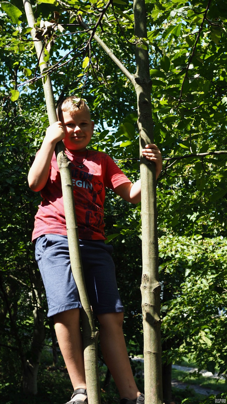 Dom Kultuty INSPIRO40