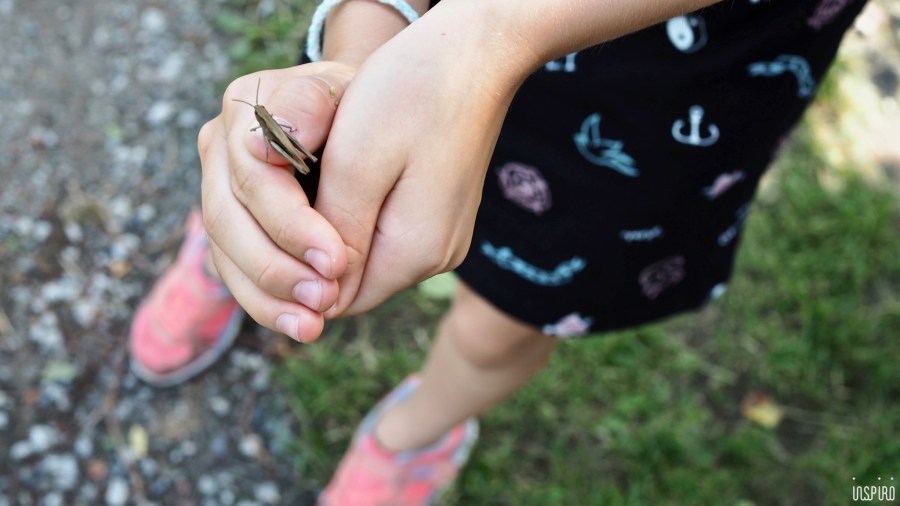 Dom Kultuty INSPIRO57