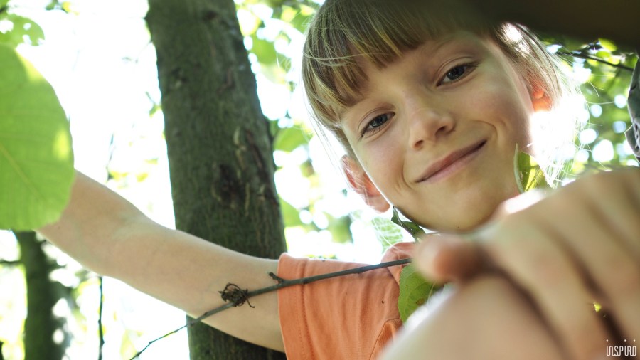 Dom Kultuty INSPIRO84