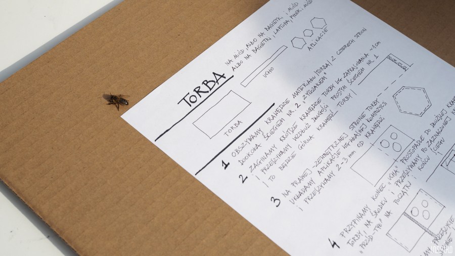 Dom Kultuty INSPIRO11