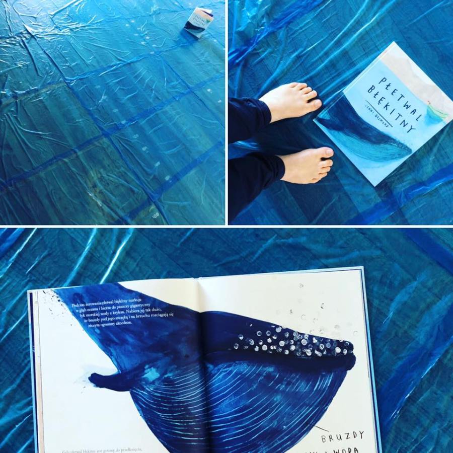 43691166_2243311155710184_2443057443270295552_n