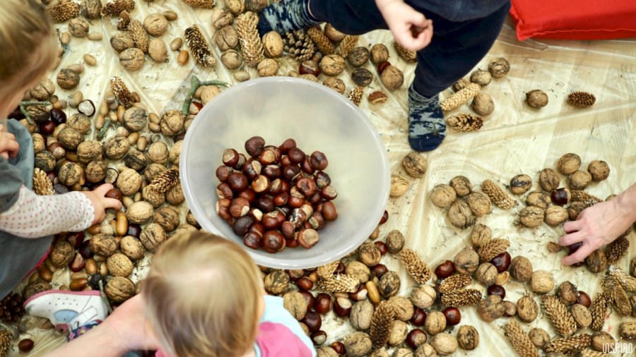 Dom Kultuty INSPIRO11