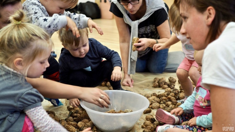 Dom Kultuty INSPIRO15