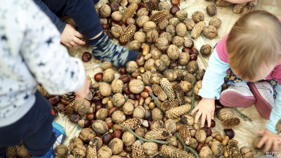 Dom Kultuty INSPIRO7