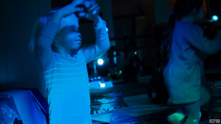 Dom Kultuty INSPIRO29