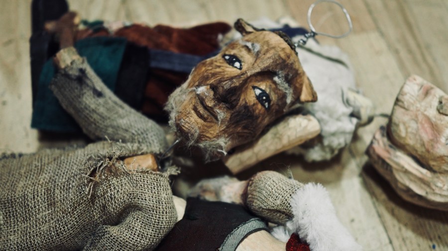 OLYMPUS DIGITAL CAMERA